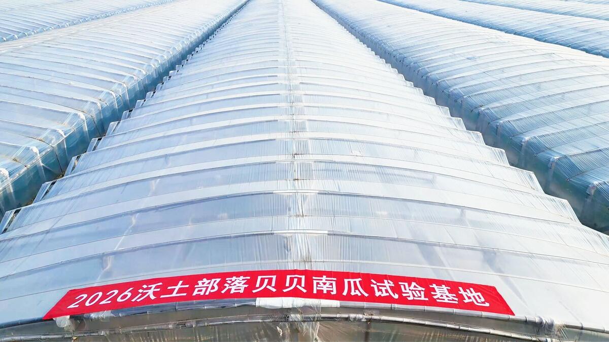 黄金产区